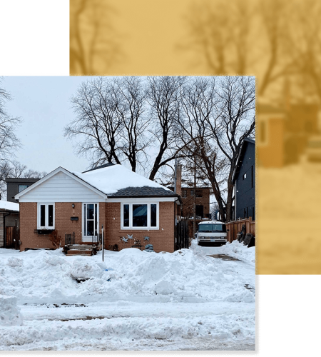 25 pine avenue